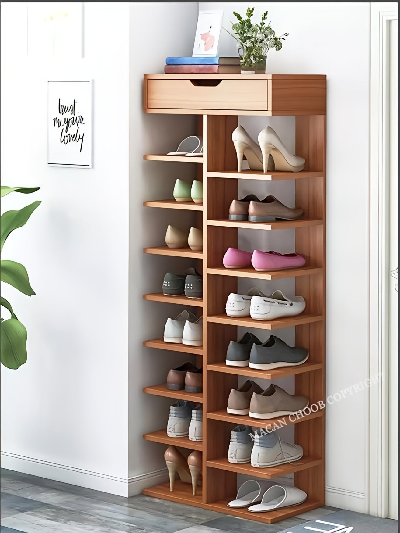 Double Row Shoe Organizer Rack